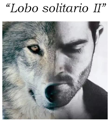 Lobo solitario